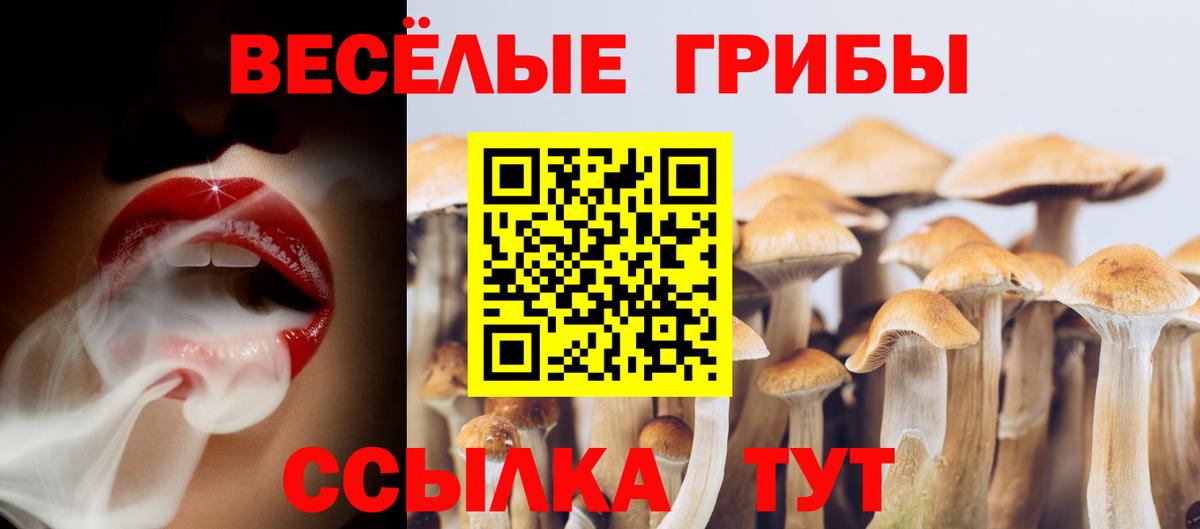 Можайск  цена   Вход с VPN  Псилоцибиновые грибы прущие грибы 